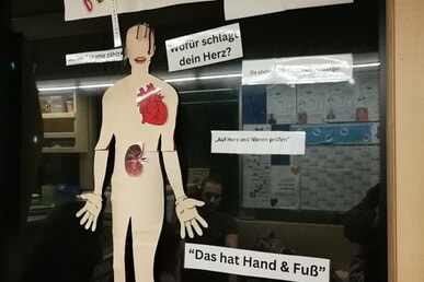 Demokratieprojekt im Blauen Bus
