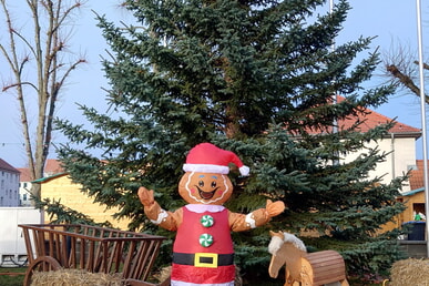 Kreativ, lecker und gem&uuml;tlich: November und Dezember im Jugendhaus Seelow